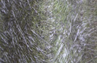 Thorngrove fibreglass roof work