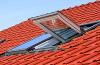 Thorngrove roof window